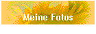 Meine Fotos